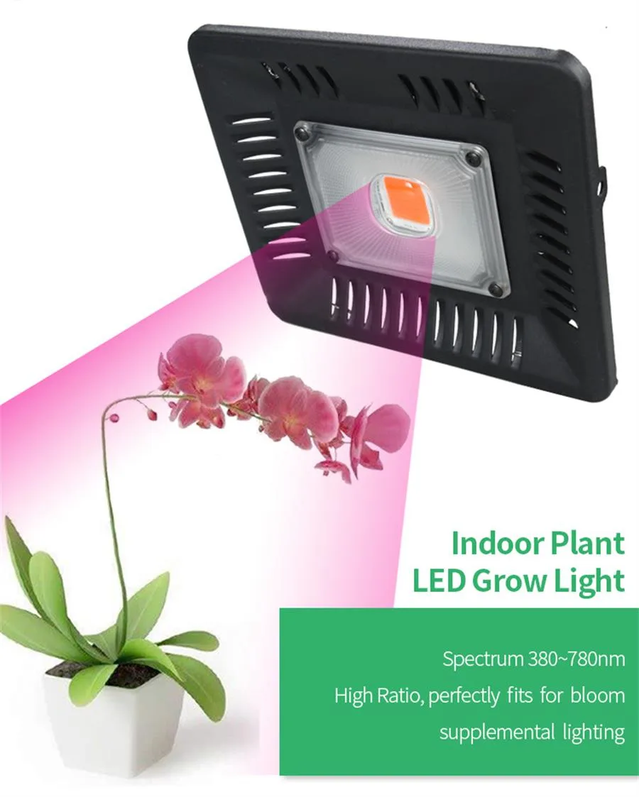 BUYBAY Full Spectrum LED Grow Light Waterproof IP67 100W 200W 300W COB Growth Flood Light for Plant Indoor Hydroponic Greenhouse