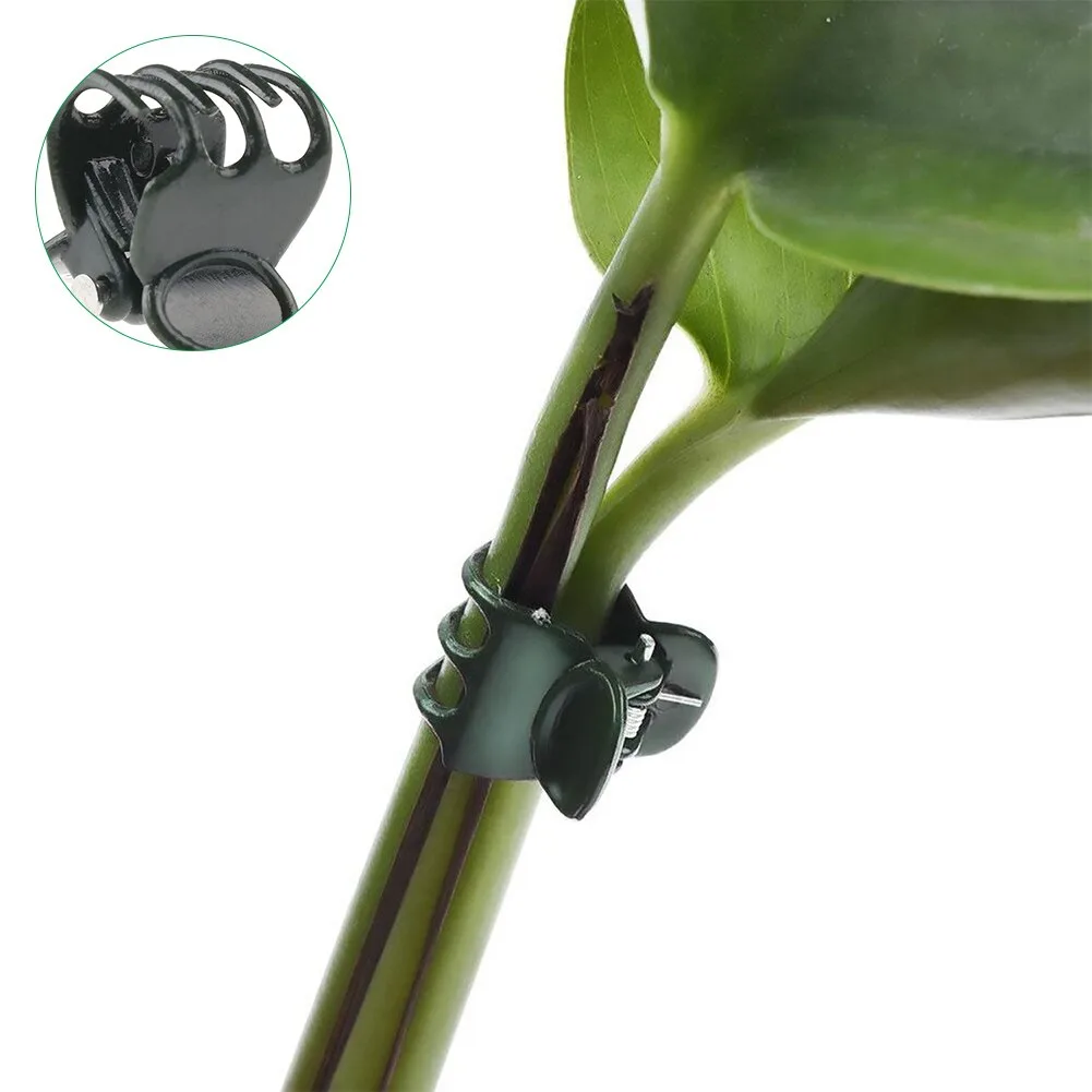 20/50PCS Plastic Plant Support Clips Orchid Stem Clip for Vine Support Vegetables Flower Tied Bundle Branch Clamping Garden Tool 20/50PCS Plastic Plant Support Clips Orchid Stem Clip for Vine Support Vegetables Flower Tied Bundle Branch Clamping Garden Tool