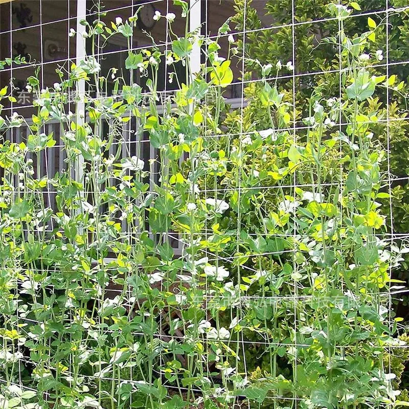 Plant Climbing Net Mesh Loofah Netting For Morning Glory Vine Flowers Garden Plants Climbing Net Cucumber Vine Grow Holder Plant Climbing Net Mesh Loofah Netting For Morning Glory Vine Flowers Garden Plants Climbing Net Cucumber Vine Grow Holder