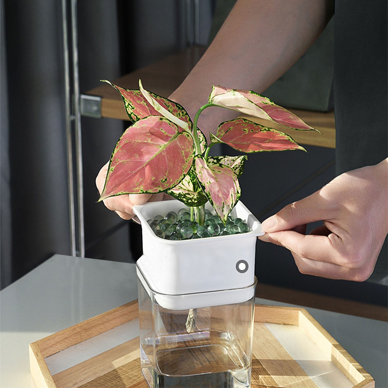 2 Layer Self-watering Flowerpot Automatic Water Absorption Succulent Aquaculture Transparent Round Plastic Hydroponic Flowerpot 2 Layer Self-watering Flowerpot Automatic Water Absorption Succulent Aquaculture Transparent Round Plastic Hydroponic Flowerpot