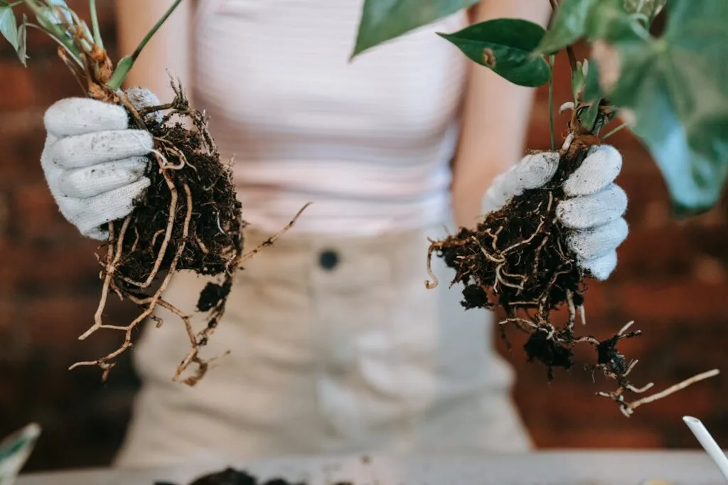The Benefits of Companion Planting_ How to Maximize Your Garden's Potential (2) Person holding plants with visible roots.